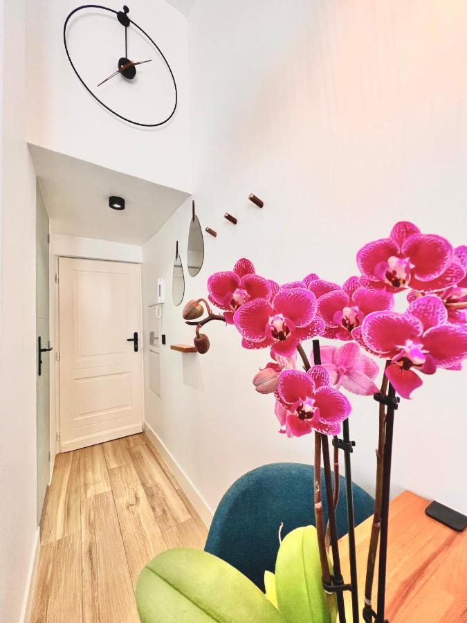 DUPLEX LE GESÙ - HEART OF OLD TOWN - MODERN - WiFi - CLIM Appartamento Nizza Esterno foto
